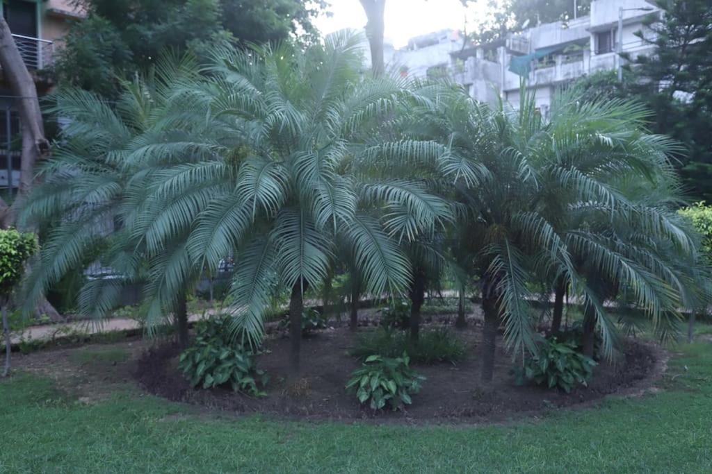 Divine India Service Apartment 3Bhk,B57 Sarita Vihar,Apollo New Delhi Exterior photo